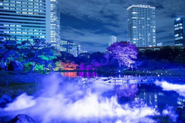 募集している求人：開発ディレクター（自社コンテンツ推進）