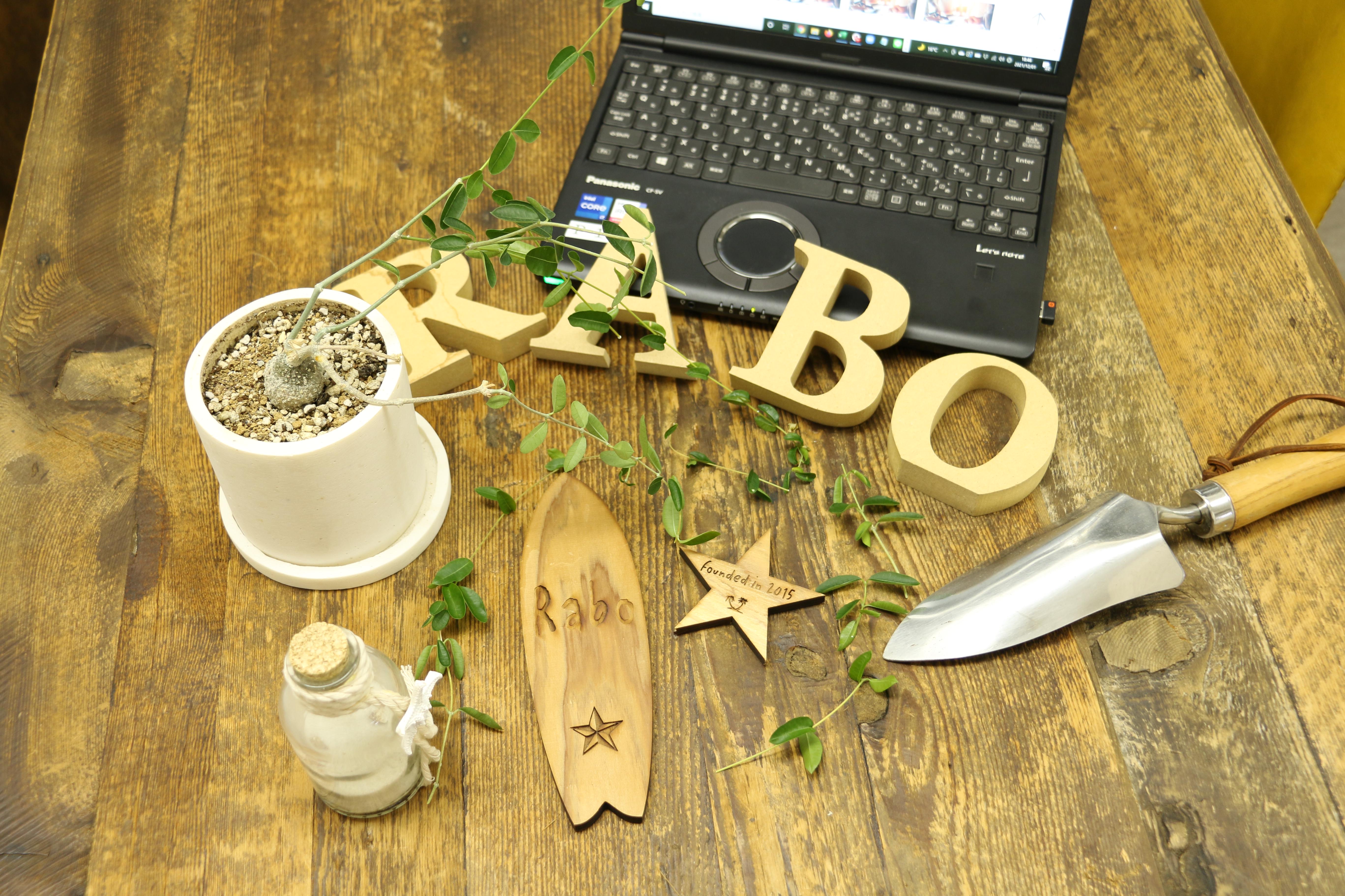 課題解決型のデジタルマーケティング支援や広告運用・D2Cソリューション事業を展開するインターネット広告代理店