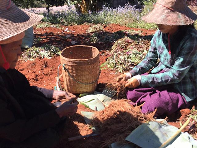 ミャンマーの貧困農家とのフェアトレードプロジェクト。サービスの拡大が問題解決に繋がっているとダイレクトに感じることができる。