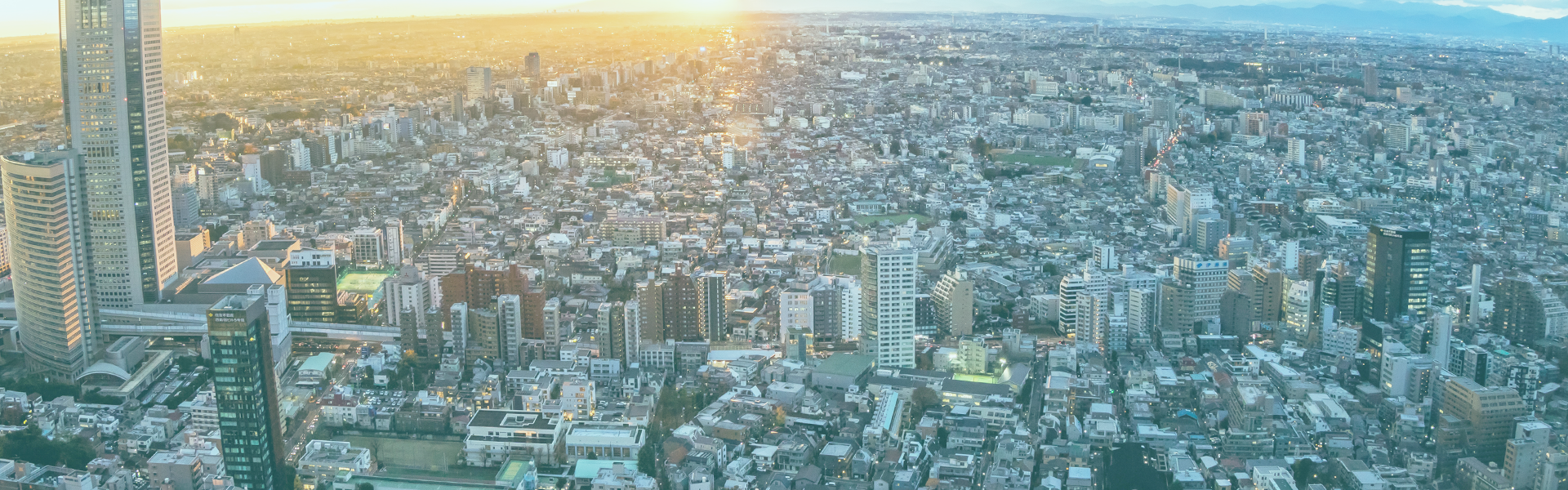 企業トップ画像