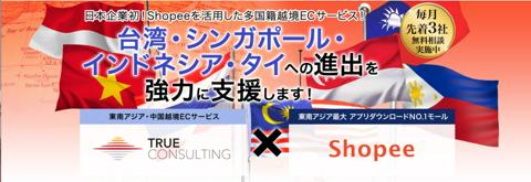 海外マーケットコンサルタント トゥルーコンサルティング 株式会社 It Web業界の求人 採用情報に強い転職サイトgreen グリーン 2021 02 22 20 14 03更新 Id 42900