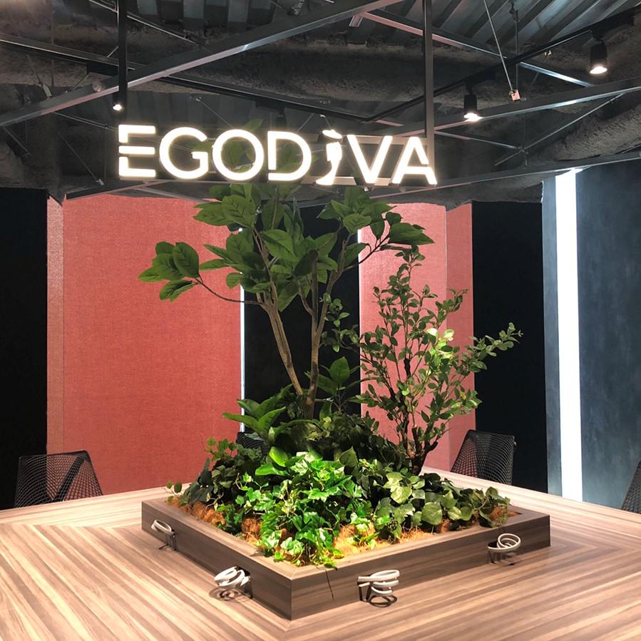 株式会社 EgoDivaのイメージ画像1