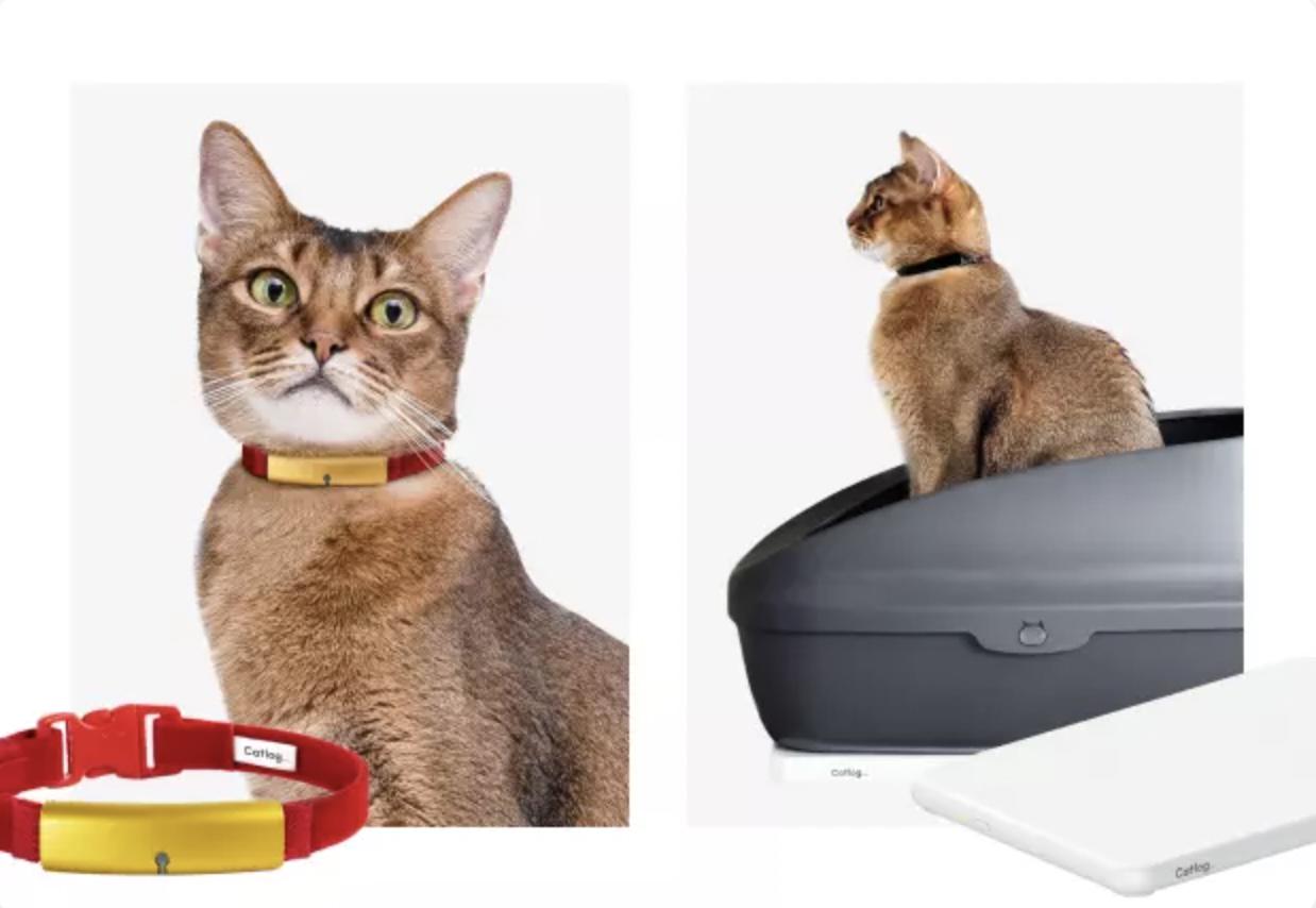 「Catlogデザイン」愛する猫の活動データを24時間記録し、歩く・走るなどの運動や休息、飲食などお留守番中の行動をスマホで見ることができます。情報は蓄積され、ゆくゆくは他猫との比較も。家族や、獣医さん・シッターさんともアカウントの共有ができ、いずれは世の中の猫の、できるだけ幸福な一生のために活用されます。