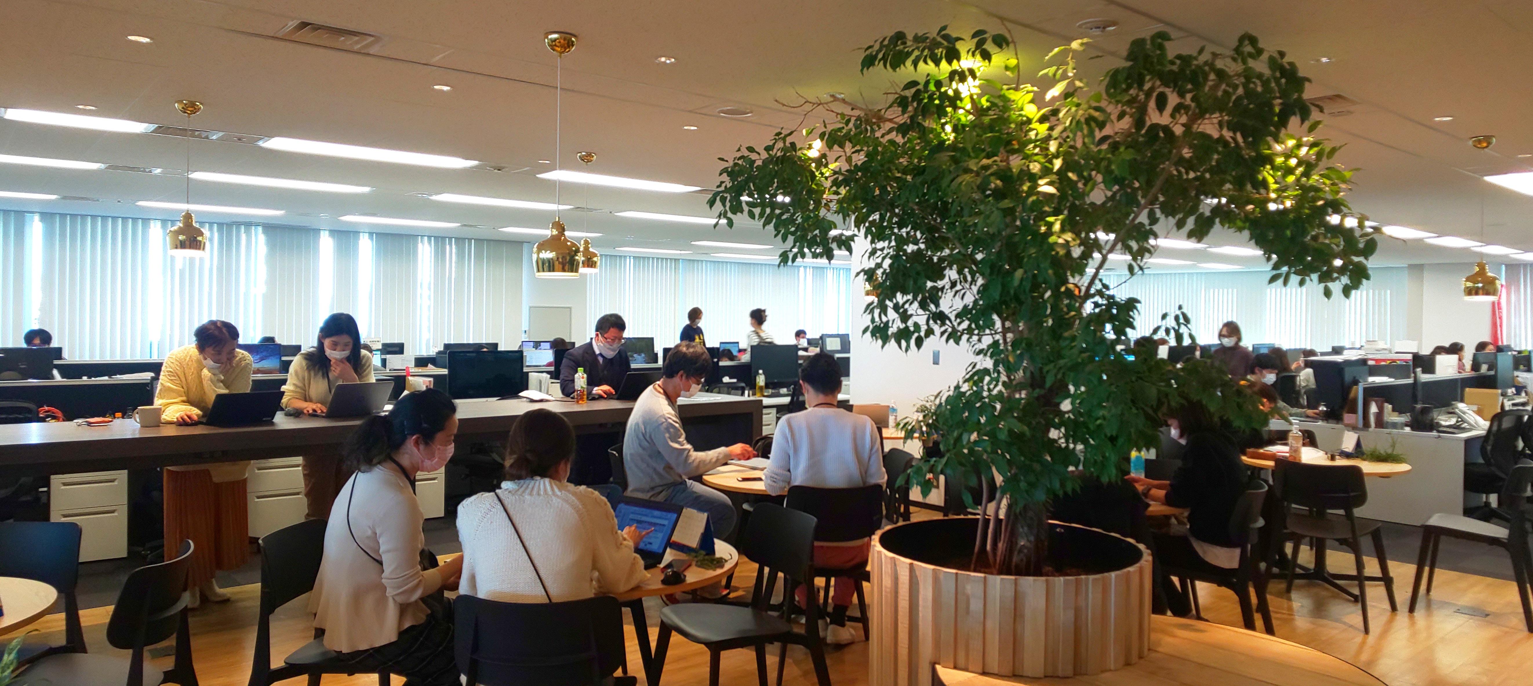 企業トップ画像