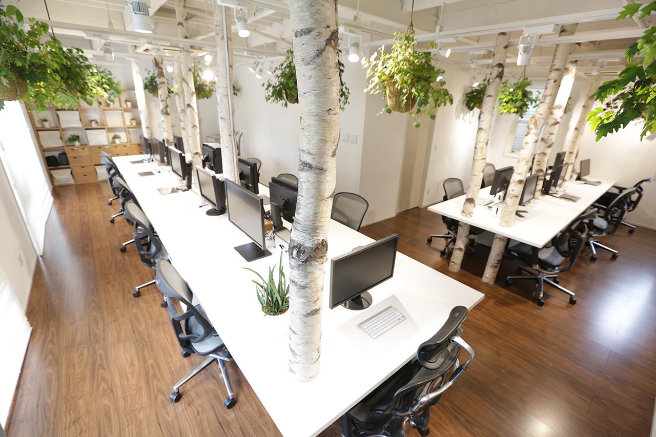 株式会社 ワンパクのイメージ画像3