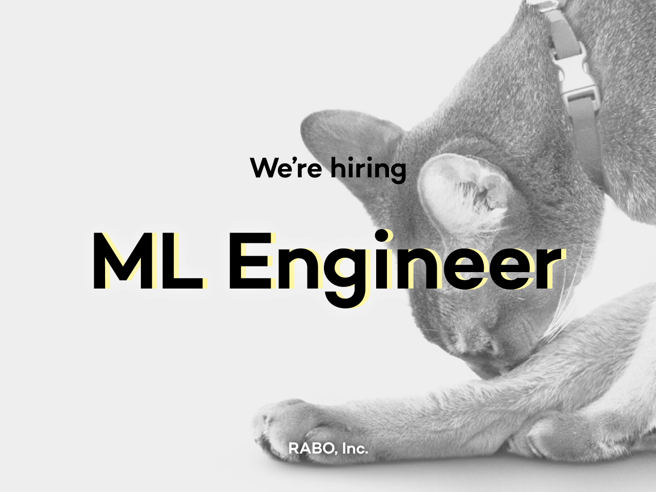 株式会社 RABOのイメージ画像1