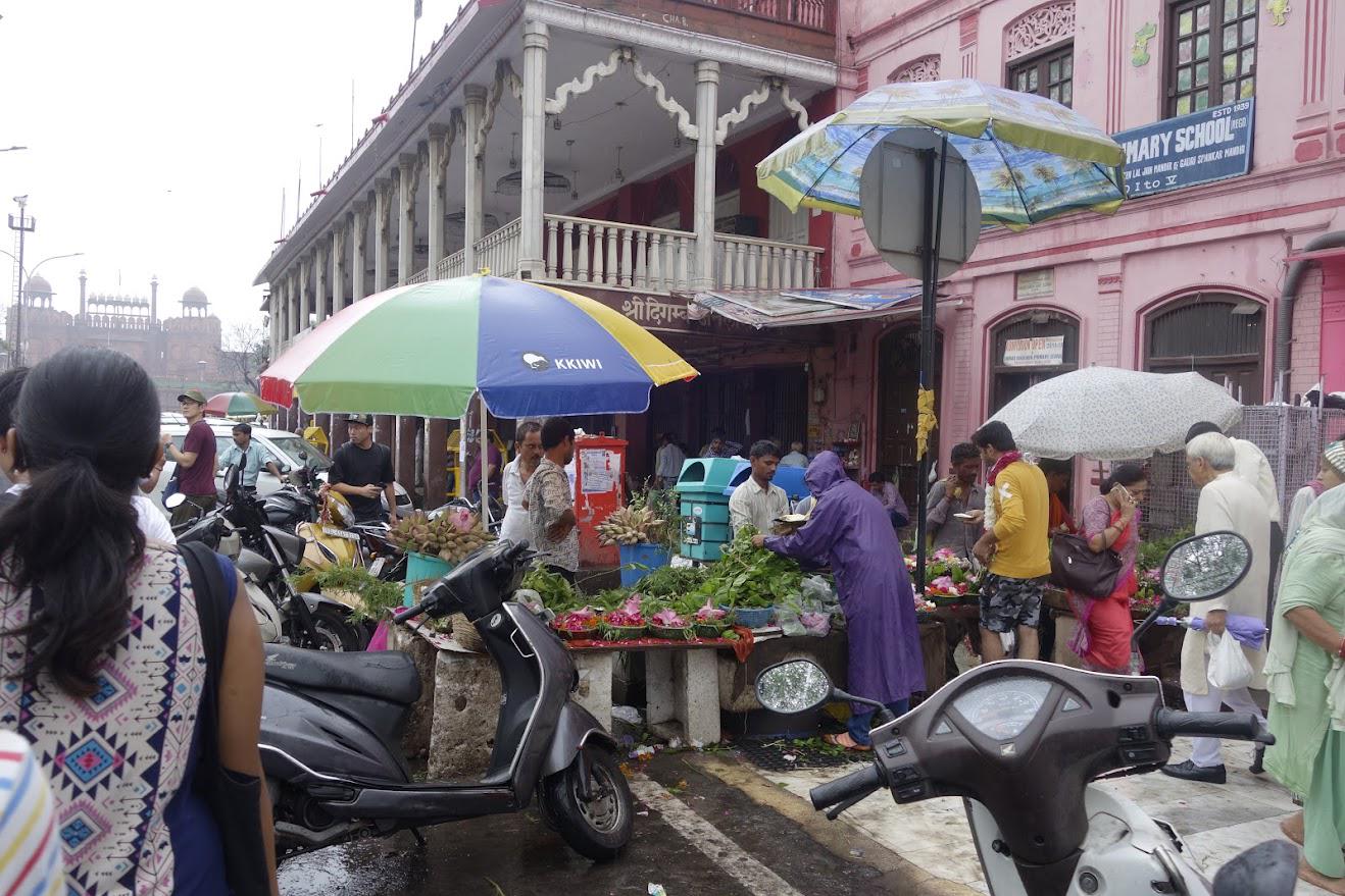 インドでの現地調査の様子