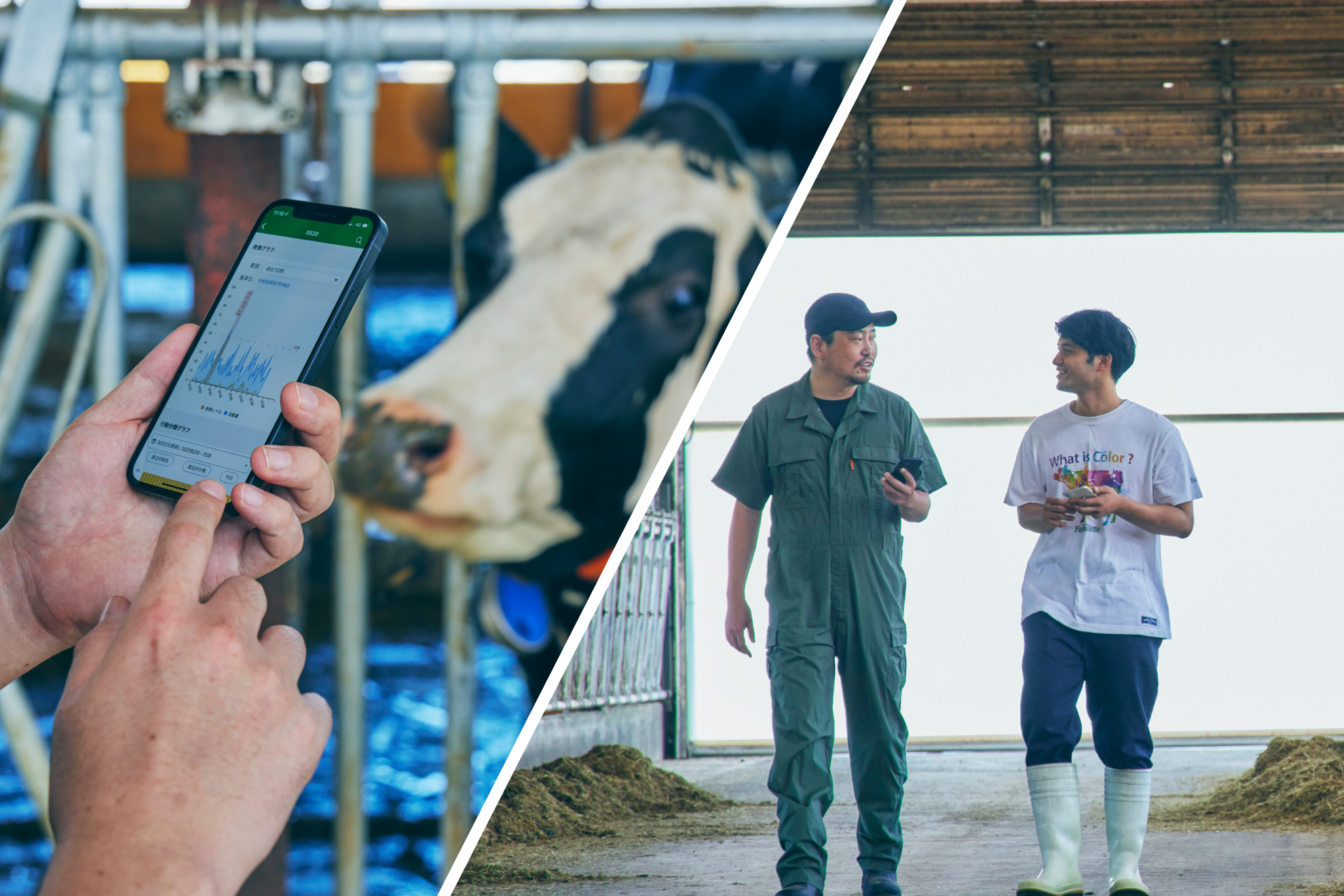 株式会社 ファームノートのイメージ画像2