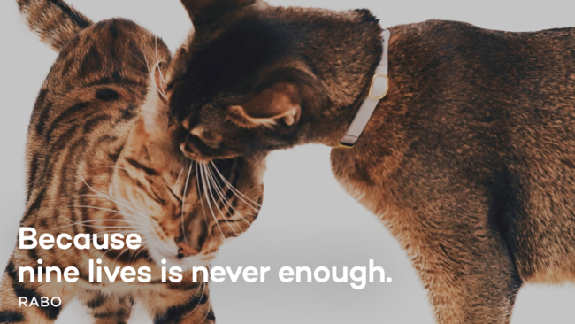 日本スタートアップ企業のグローバル展開を支援する日本貿易振興機構（JETRO）によって、革新的な日本スタートアップ企業40社に選出され、「CES 2022」への出展