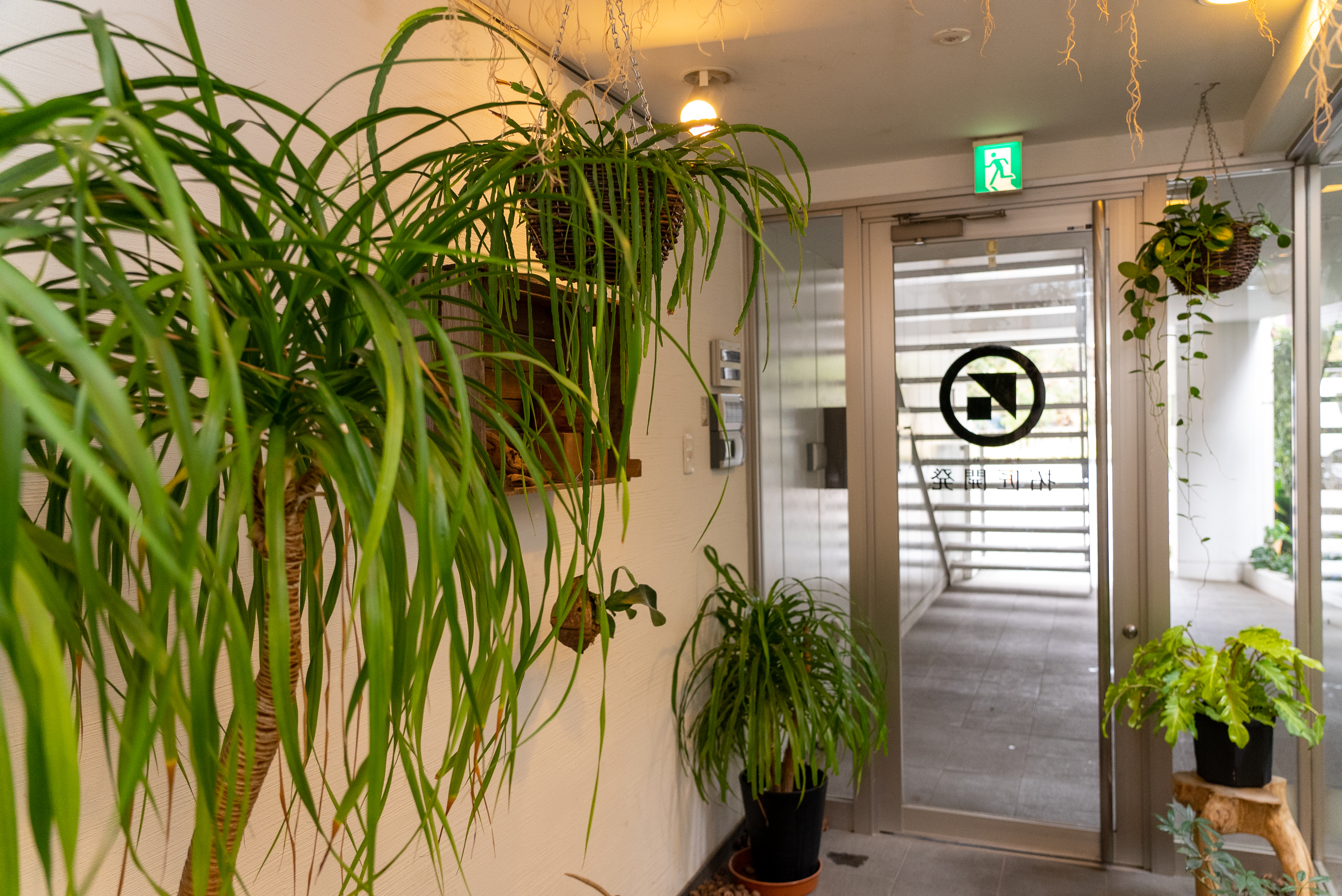 グッドデザイン賞を受賞するデベロッパーだけに、オフィス空間にも観葉植物が置かれていて、オシャレな雰囲気だ。