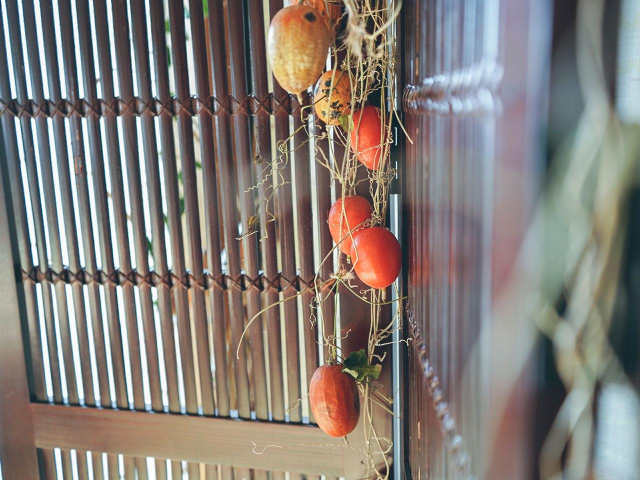 オフィス周辺は草花の宝庫。手の届く距離にある何気ないもので、気持ちがほっこりするような環境を整えることを大事にしている。