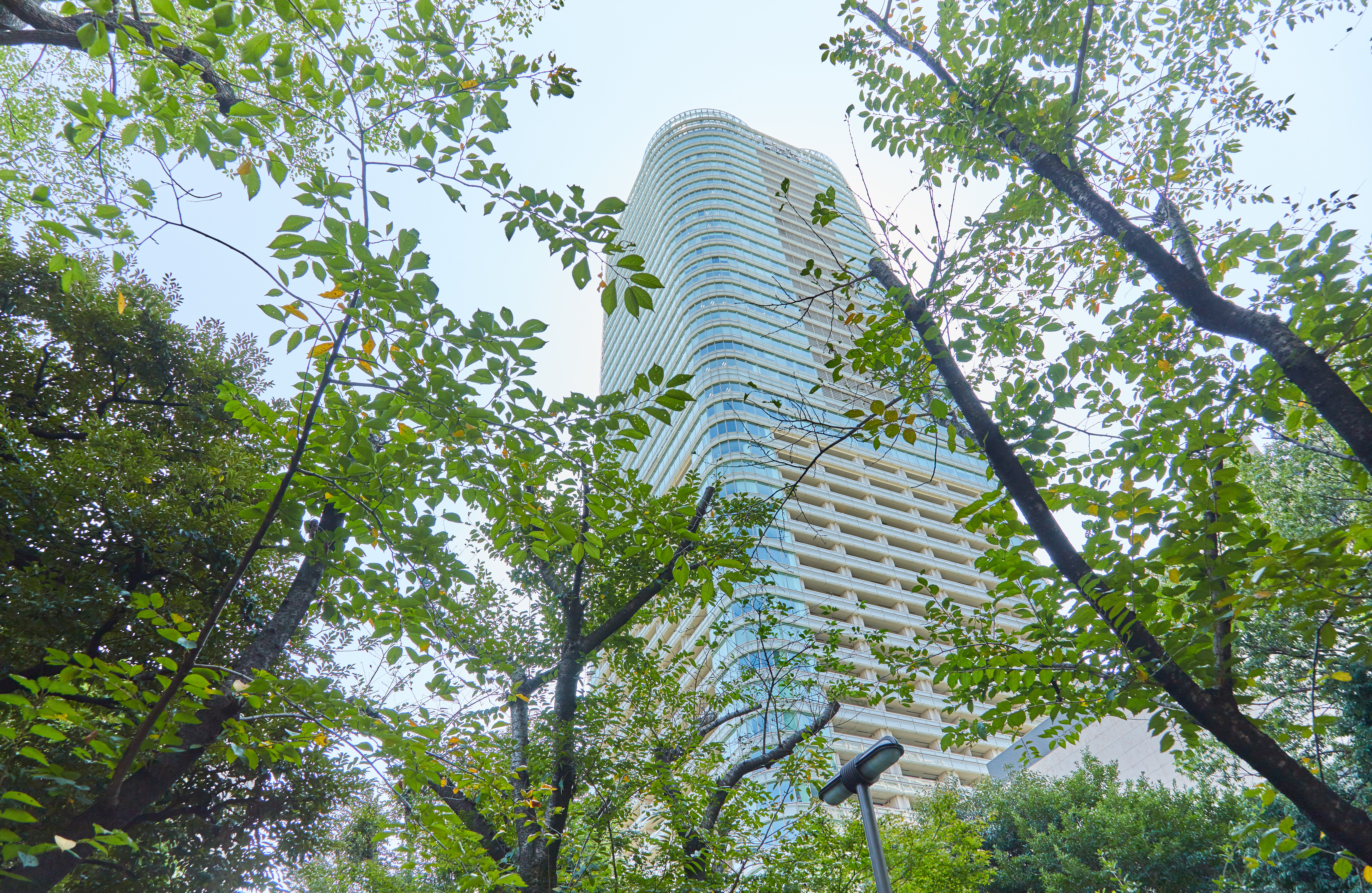 緑に囲まれた六本木一丁目駅に位置する仙石山森タワーが私達のオフィスです。