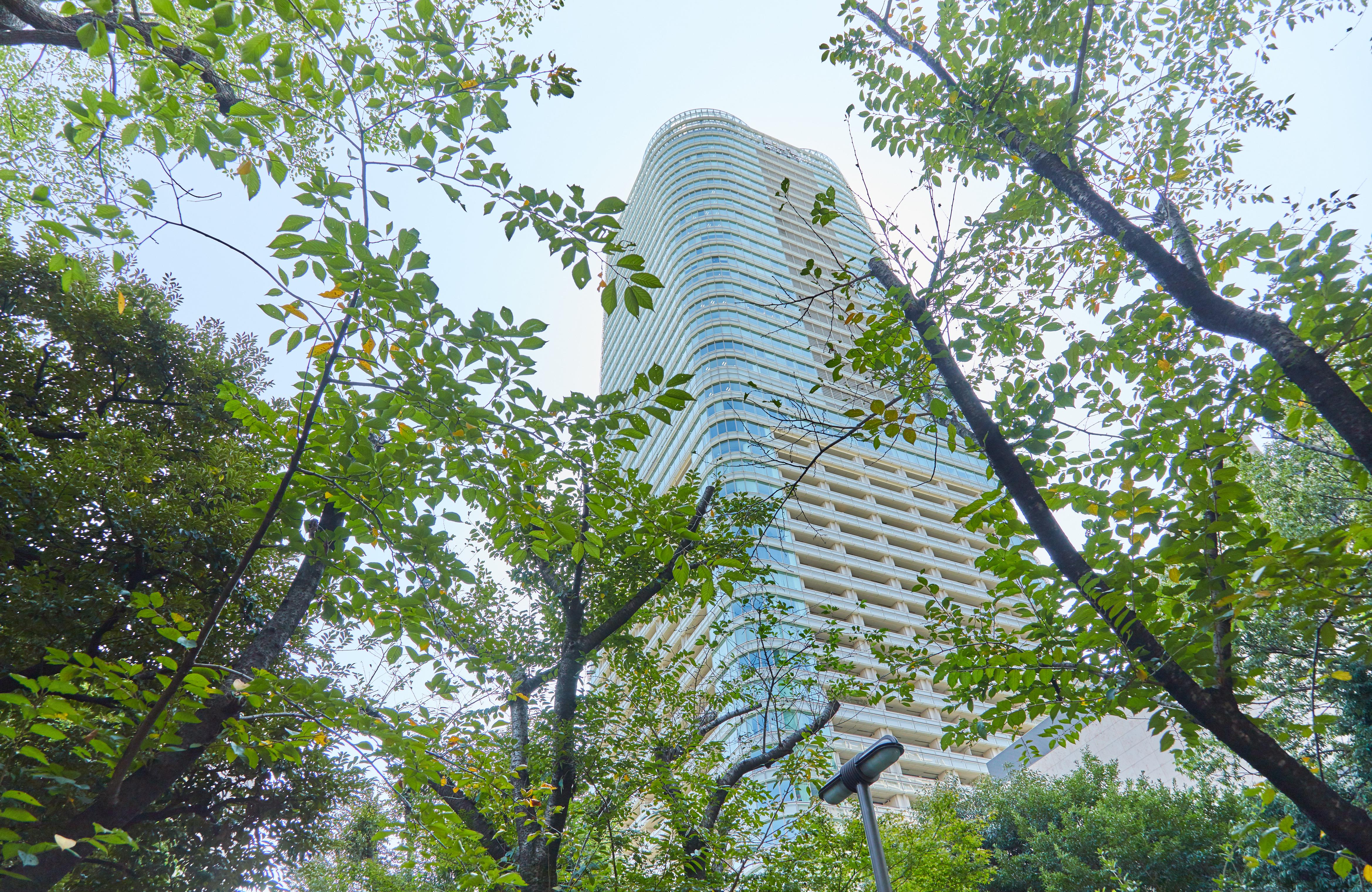緑に囲まれた六本木一丁目駅に位置する仙石山森タワーが私達のオフィスです。
