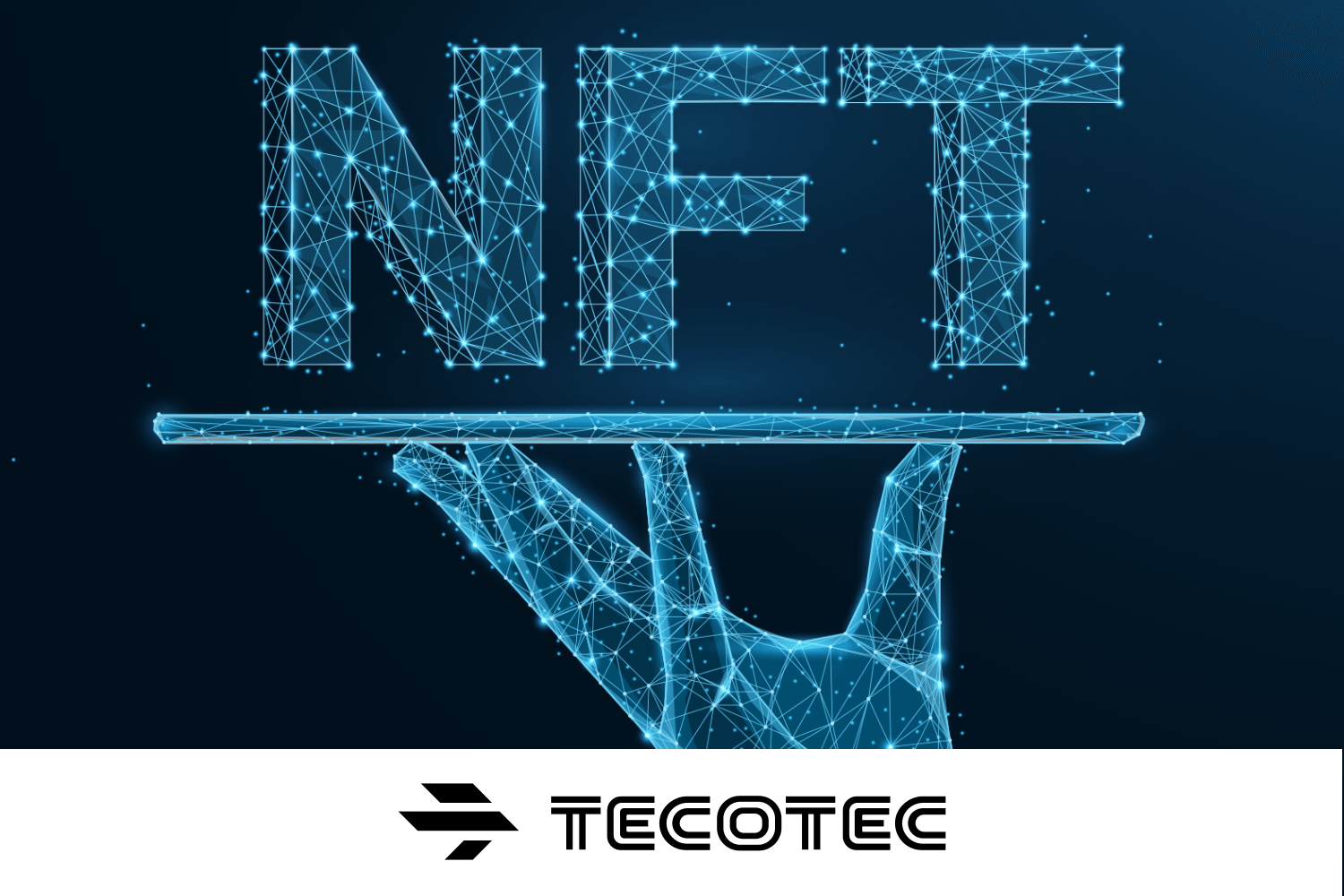 FinTechサービスをメインにブロックチェーン技術を用いたWebシステムや決済認証システムの研究開発を進めるテックカンパニーだ。