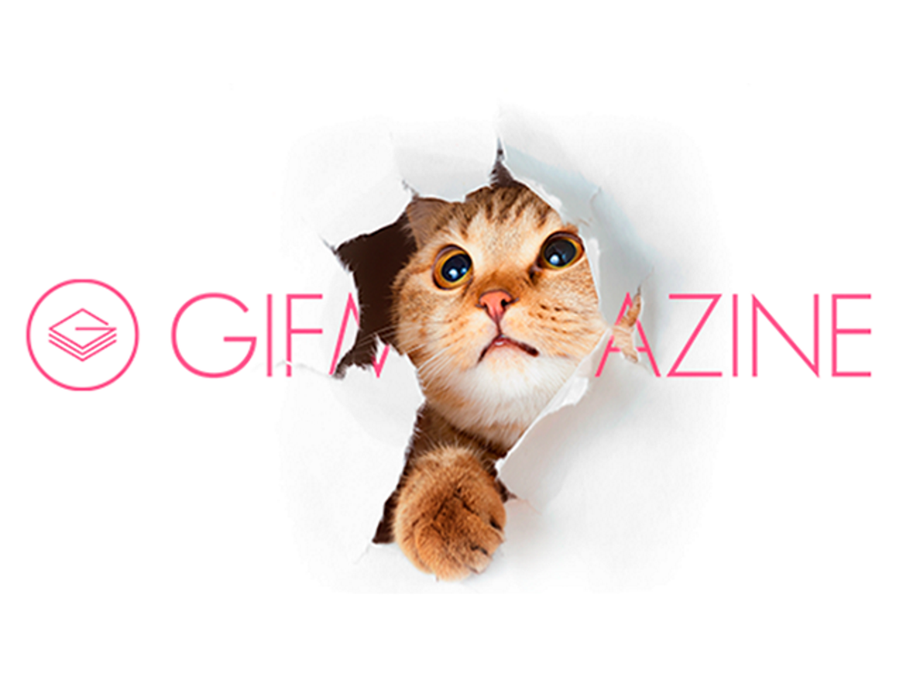 株式会社GIFMAGAZINE 求人画像1