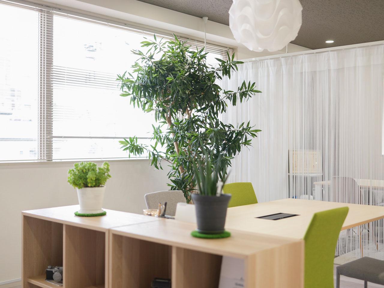 大阪から首都圏へ商圏も拡大中だ。WEBディレクターやコンサルタントへ、積極的にスキルアップを目指す人材を求める。