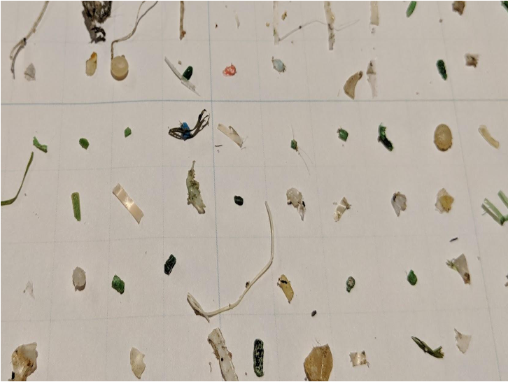 河川や海洋の水から、プラスチックの破片が多数見つかっています。