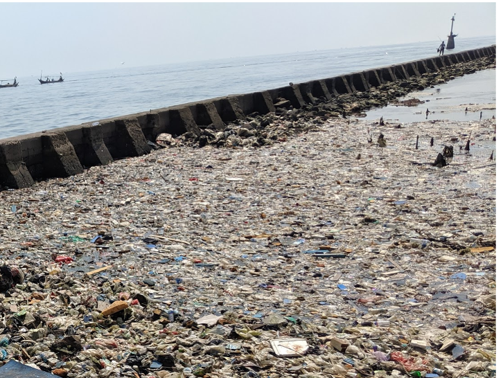 海洋プラスチック問題は国際社会における最重要課題の一つとなっています。