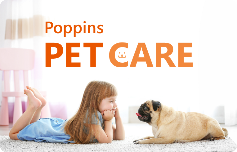 新たに、獣医師・トレーナーとの連携による安心のペットシッターサービスもスタートしました。
