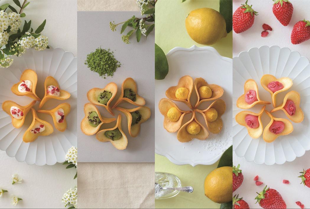 ブランド：「パティスリーKINEEL（キニール）KYOTO」
かわいいケーキをちょっとずつ。
コンセプトとした洋菓子店
店舗：東京ミッドタウン、横浜高島屋、神戸阪急、路面店（京都寺町）