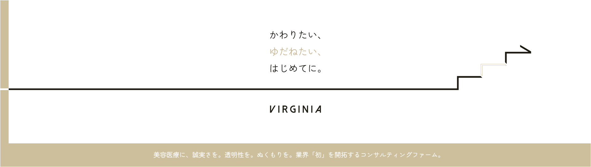この企業と同じ業界の企業：株式会社 ヴァージニア