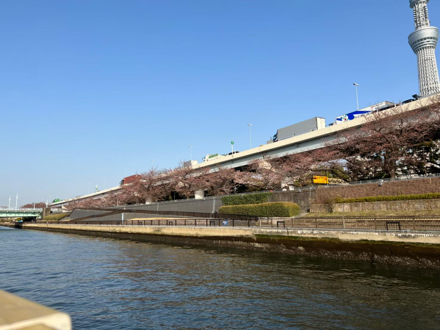 定期的に社内イベントを実施（屋形船のお花見懇親会）