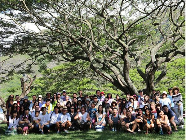 募集している求人：社内SE／PG