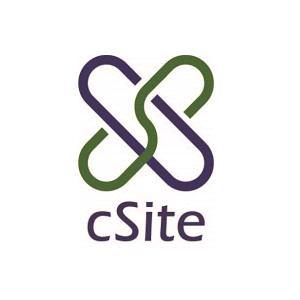 事業内容：クラウド対応システム開発「DXsite」