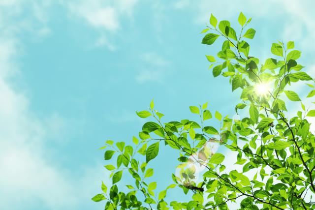 企業トップ画像