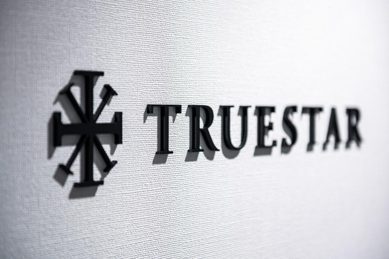 株式会社truestar 求人画像1