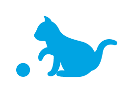 事業内容：クリエーター向けクラウドストレージ「Jector」