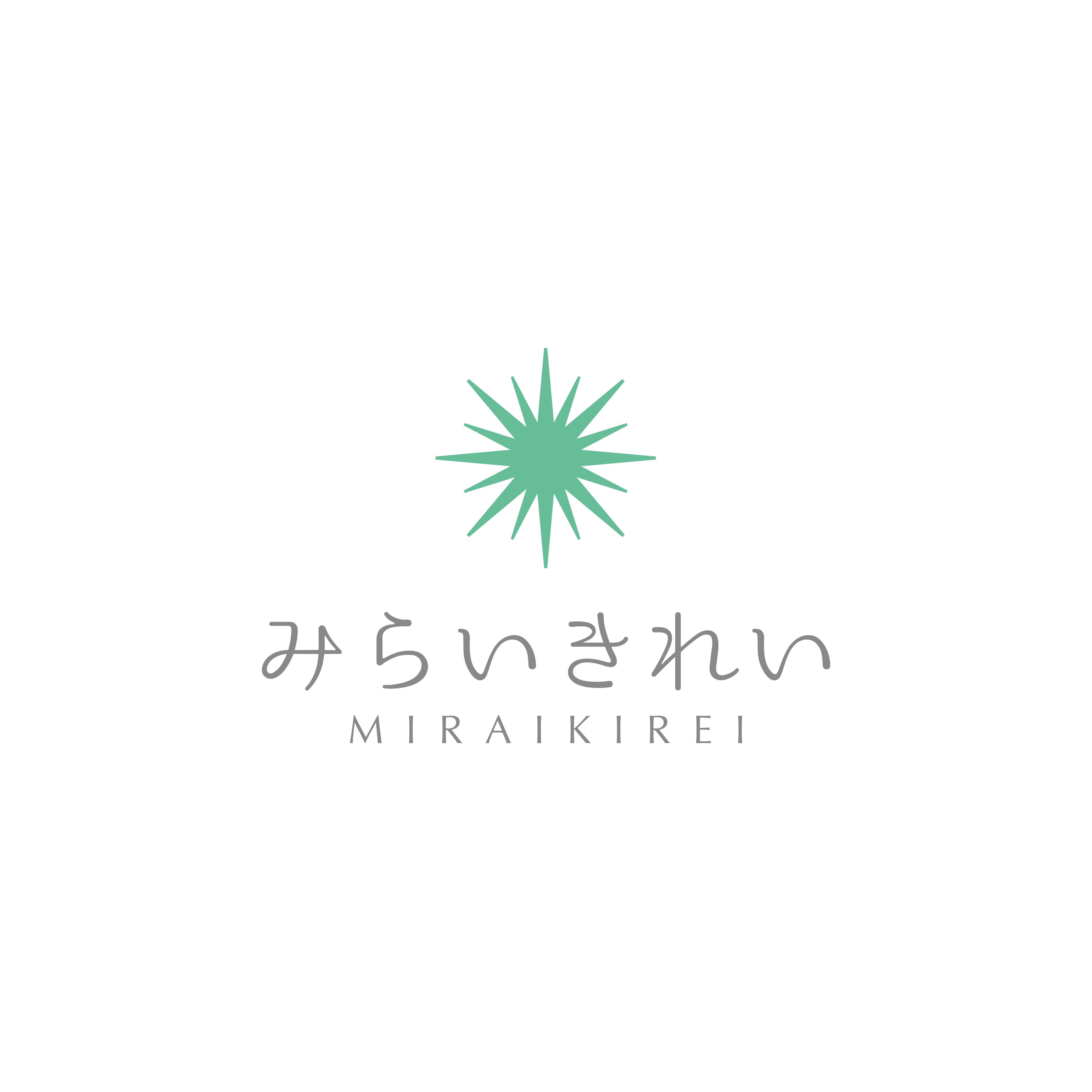 事業内容：Storyマーケティングによるデジタル広告事業