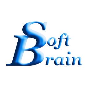 事業内容：大手向けソフトウエア受託開発サービス