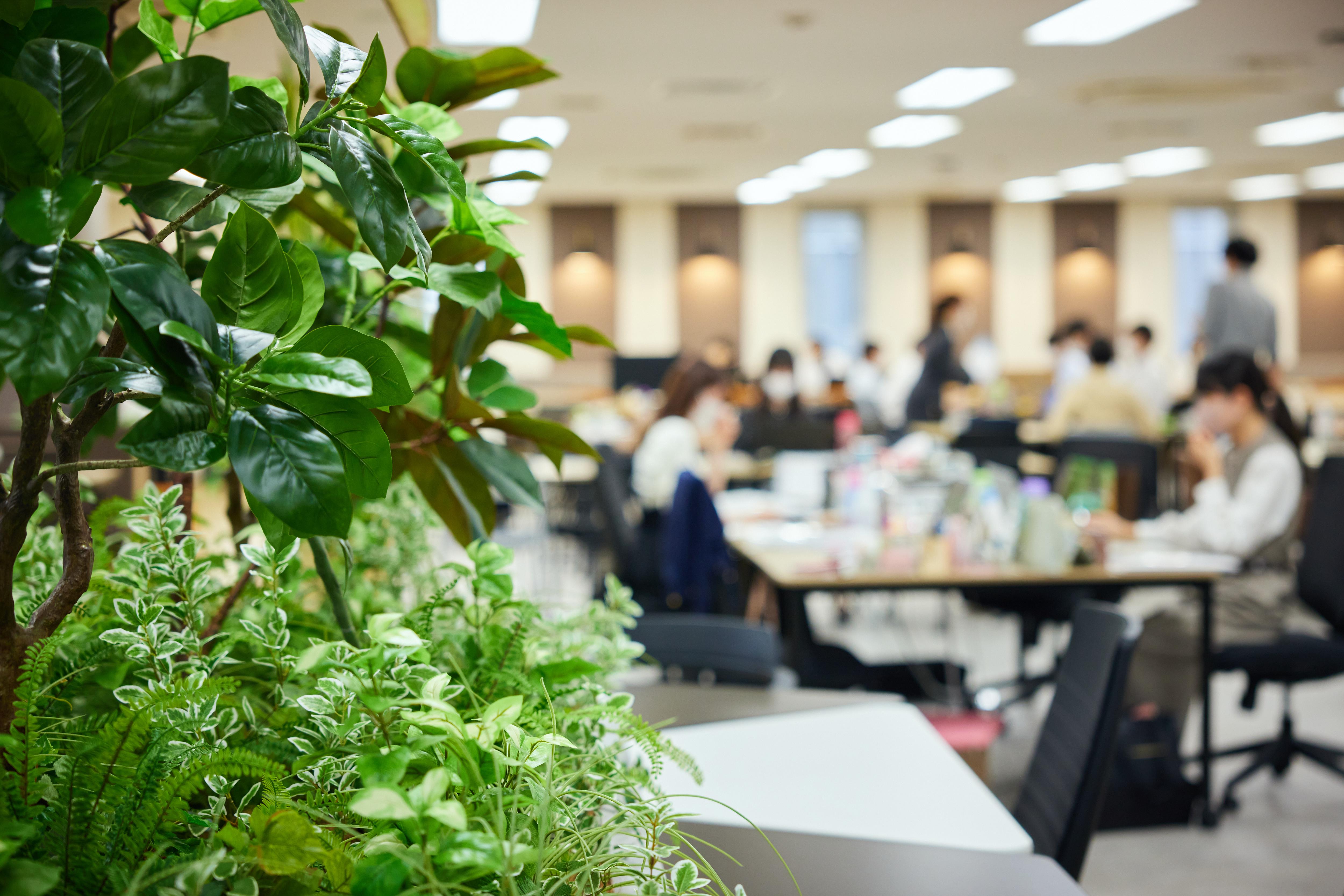 Crane＆I(クレインアンドアイ)の企業理念は遠藤氏が好きな言葉「感謝」「成長」「恩返し」の
3つを掲げている。社名には繁栄と長寿の象徴である鶴(Crane)と愛にかけたI（アイ）としている。