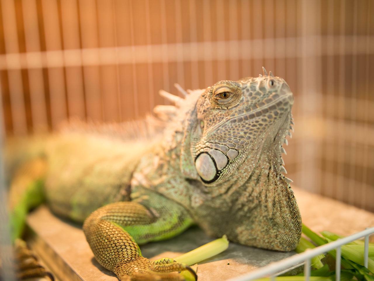 同社は、2020年3月大阪市で設立されたベンチャー企業である。