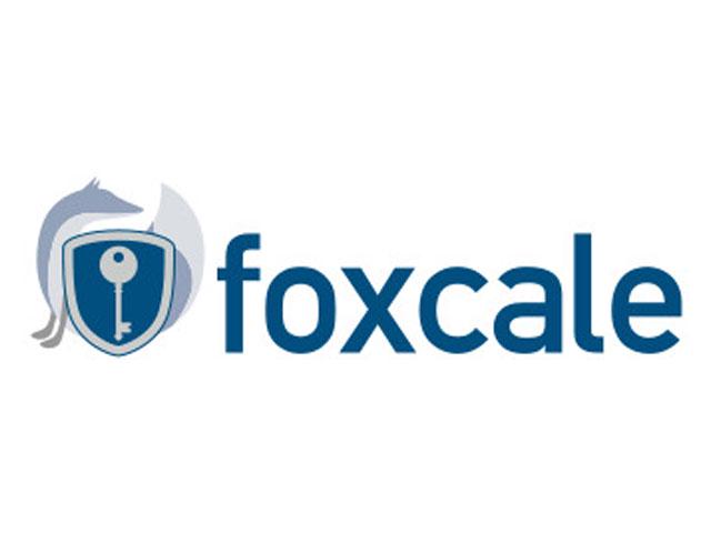 株式会社 foxcaleのイメージ画像3