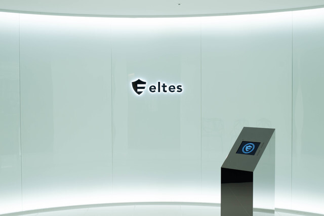 株式会社エルテスの求人情報