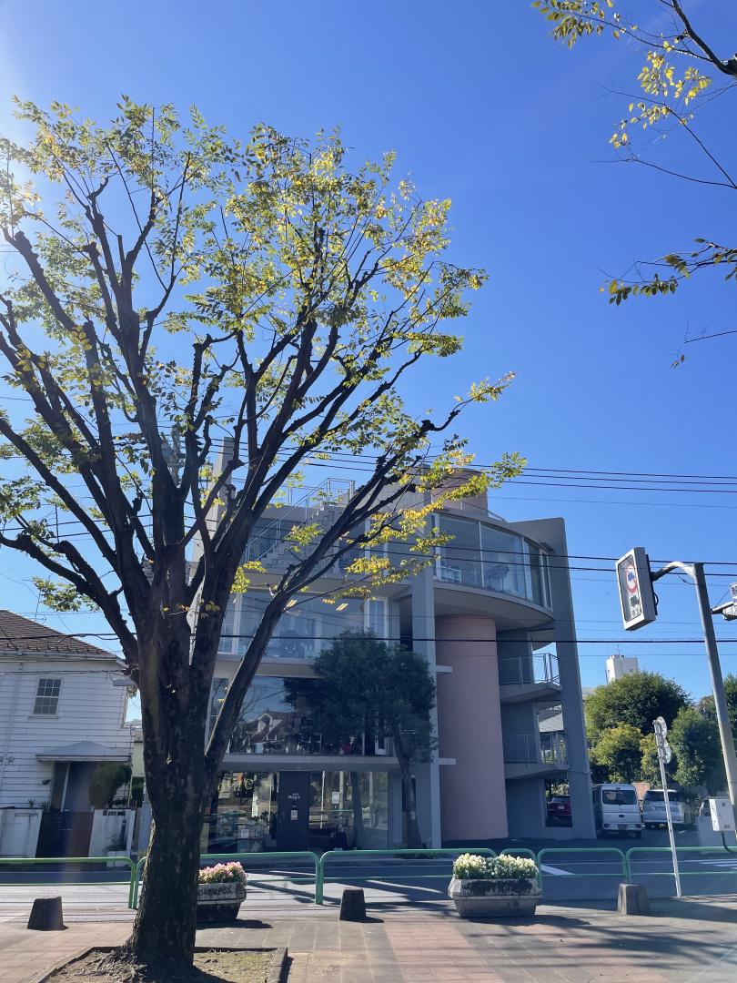 企業トップ画像