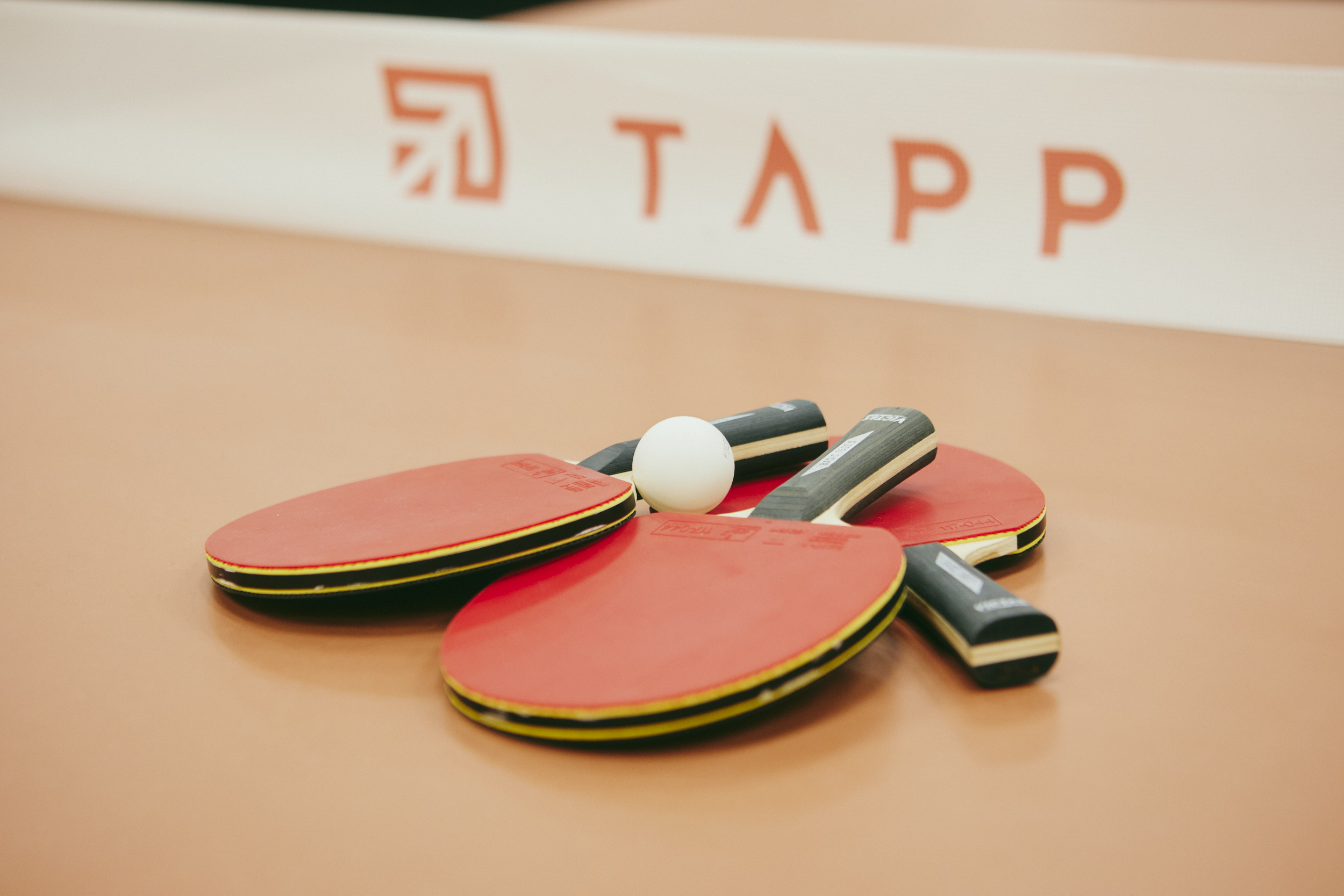 TAPPには『利益を生み出すパートナー』という想いが込められており、ロゴには "お客様" "社員" "会社" が常に右肩上がりのパートナーであり続ける思いが込められています。