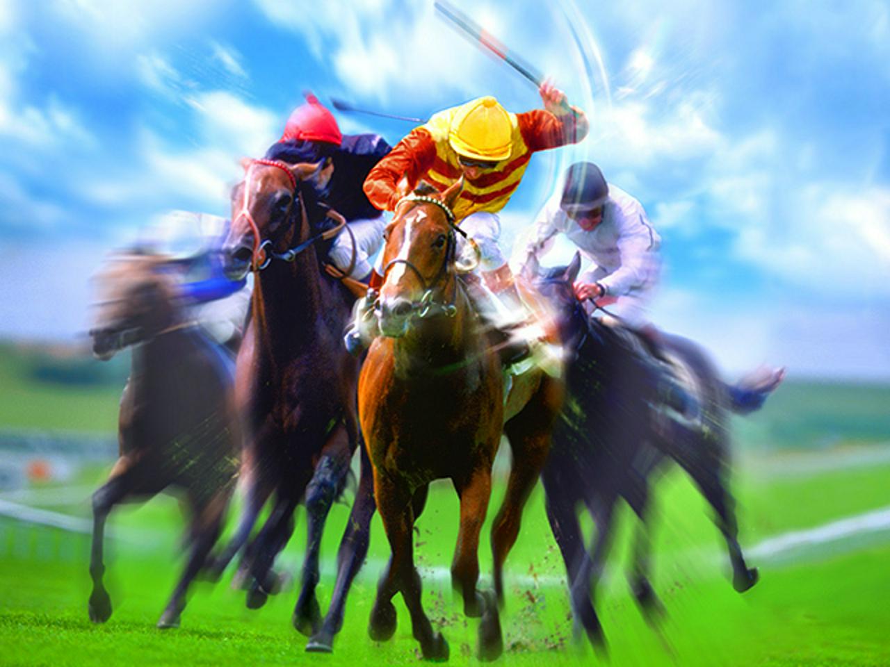 株式会社コーエーテクモホールディングス 求人画像1