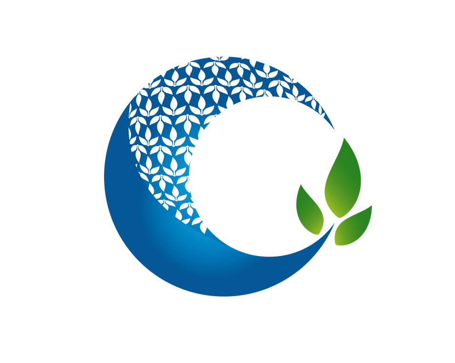 事業内容：中小企業向けkintoneノーコードソリューション