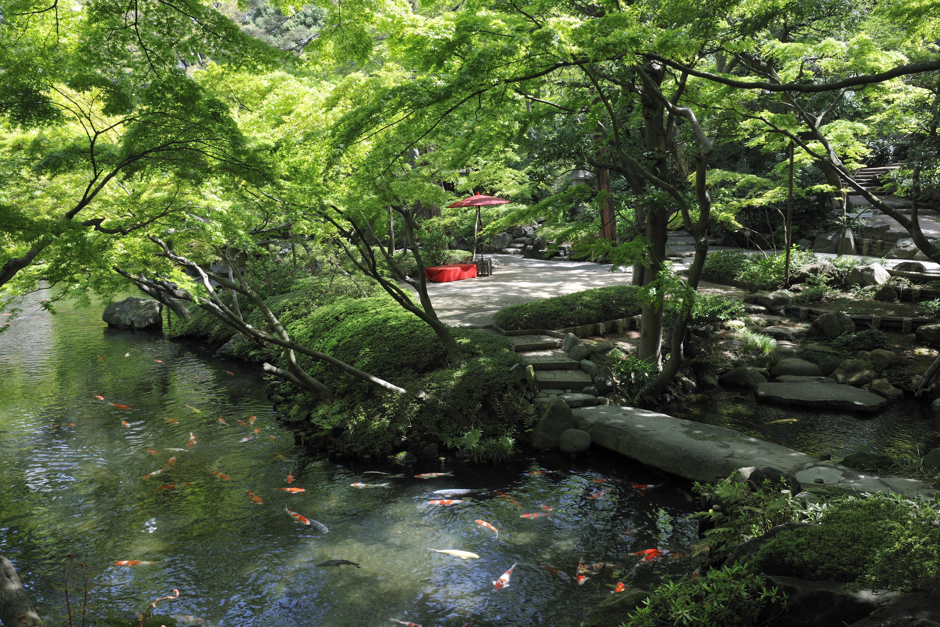 企業トップ画像