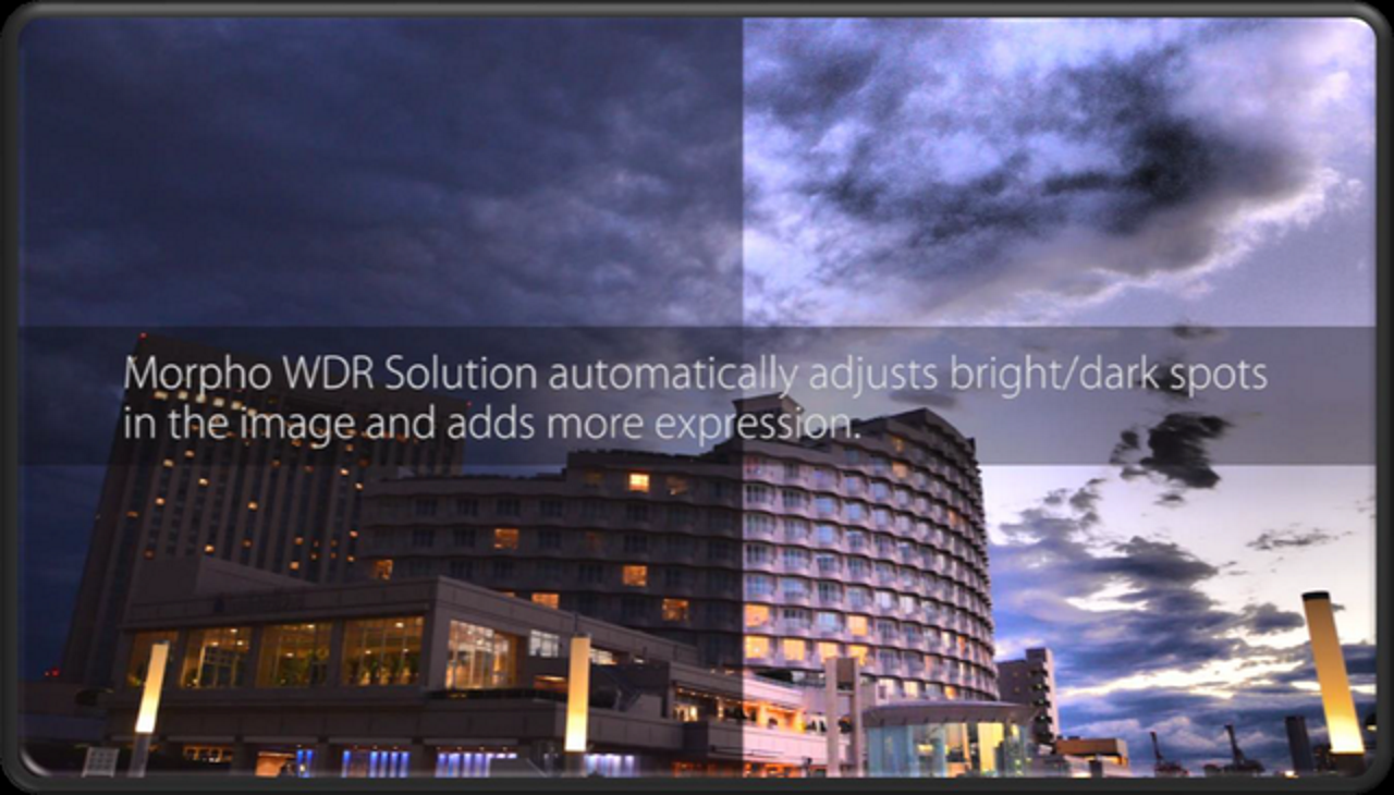 株式会社モルフォ 求人画像1