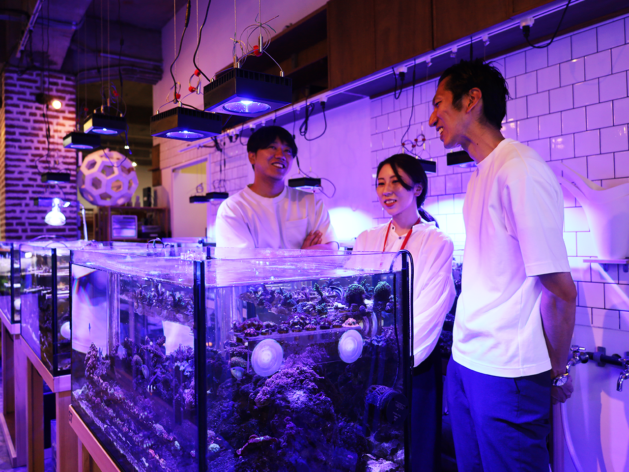 サンクスラボ株式会社 求人画像1