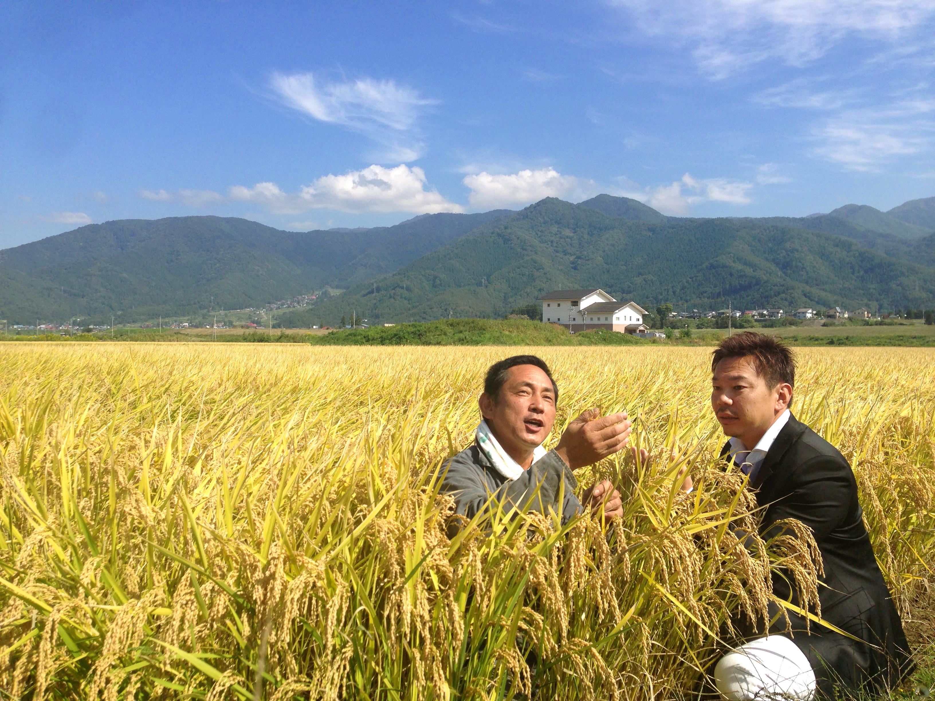 企業トップ画像