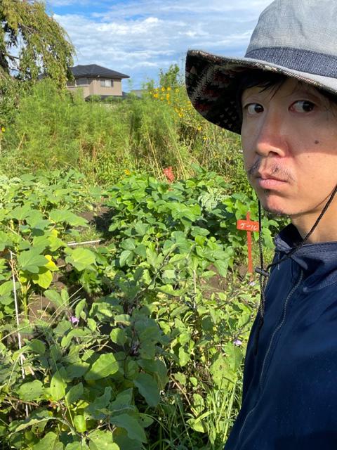 株式会社シンプルメインアイコン