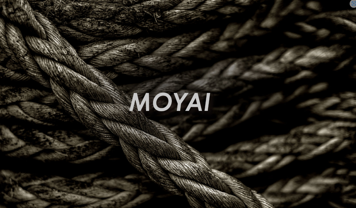 この化学反応を、結び目の王様と呼ばれる“モヤイ結び”とリンクさせ、社名は“MOYAI”になった。