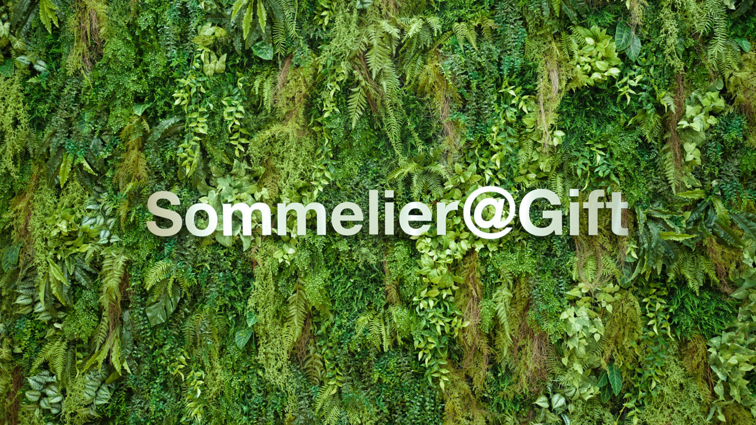 企業トップ画像