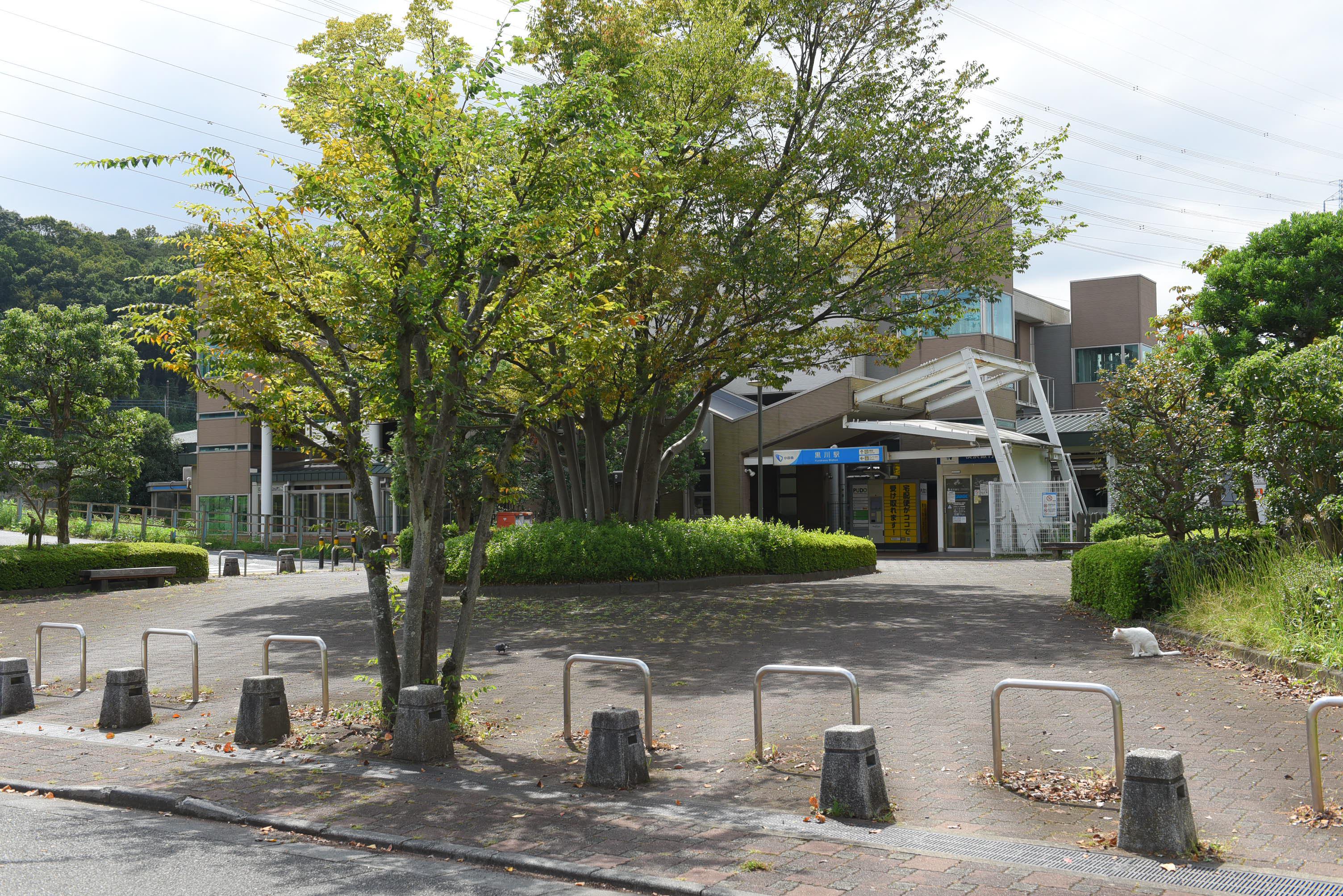 コアネットインタナショナル 株式会社のイメージ画像2