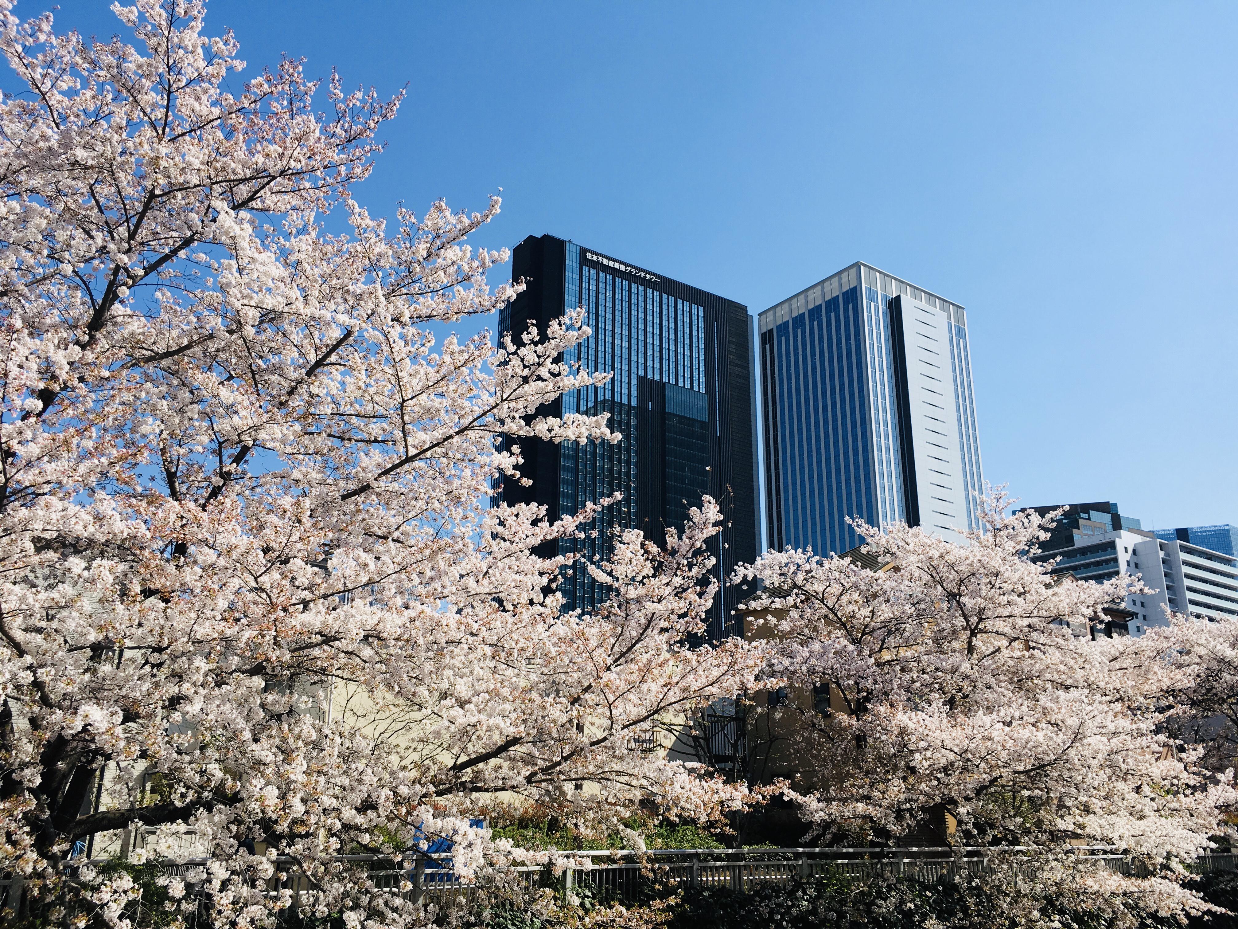 企業トップ画像